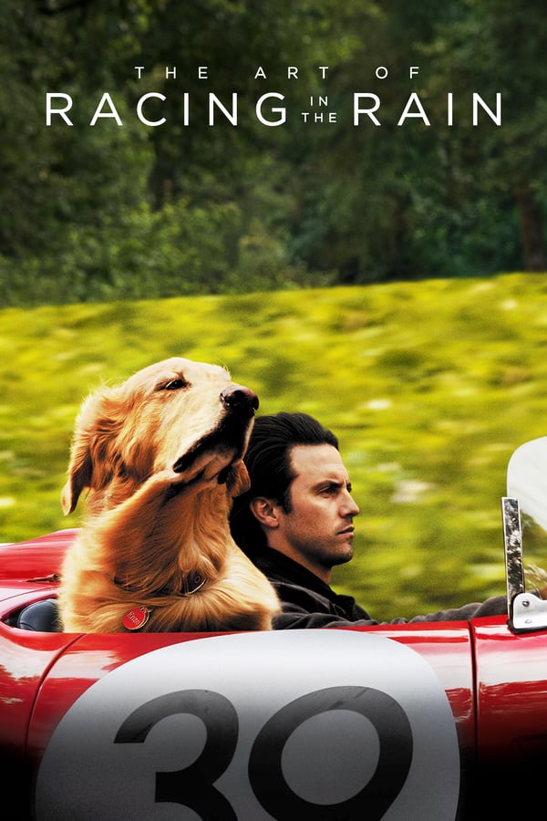 دانلود صوت دوبله فیلم The Art of Racing in the Rain 2019