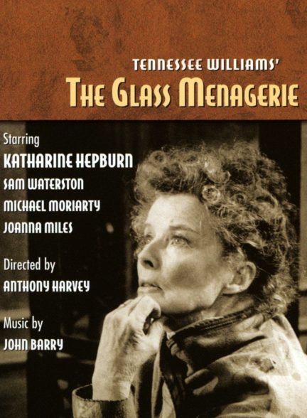دانلود صوت دوبله فیلم The Glass Menagerie