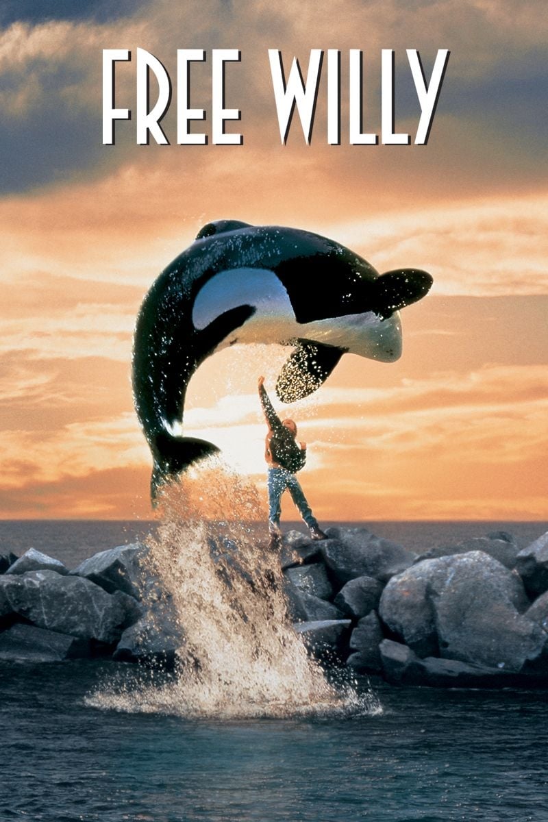دانلود صوت دوبله فیلم Free Willy