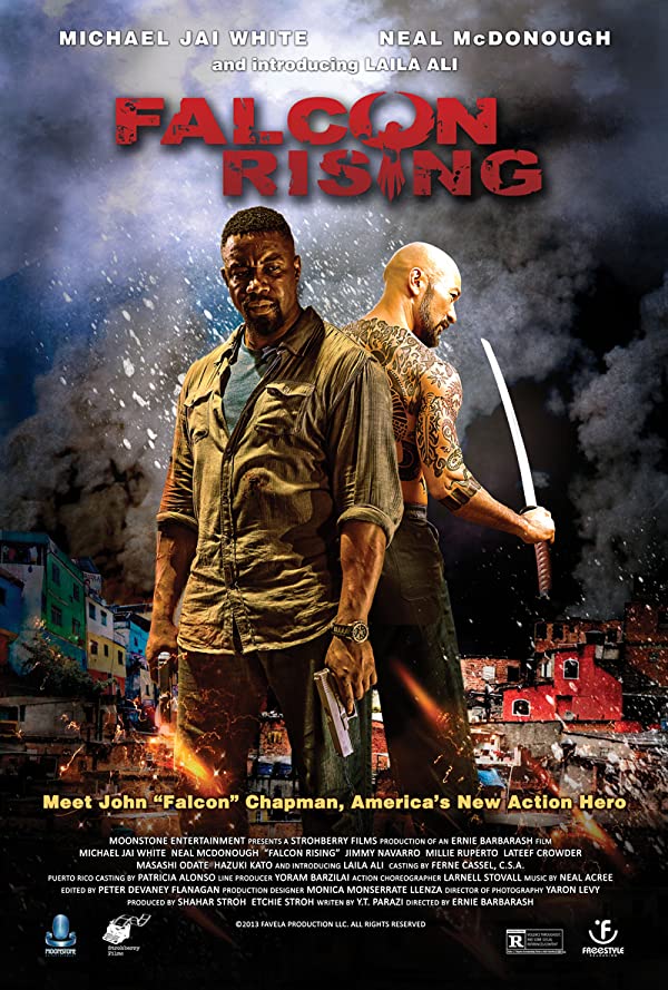 دانلود صوت دوبله فیلم Falcon Rising