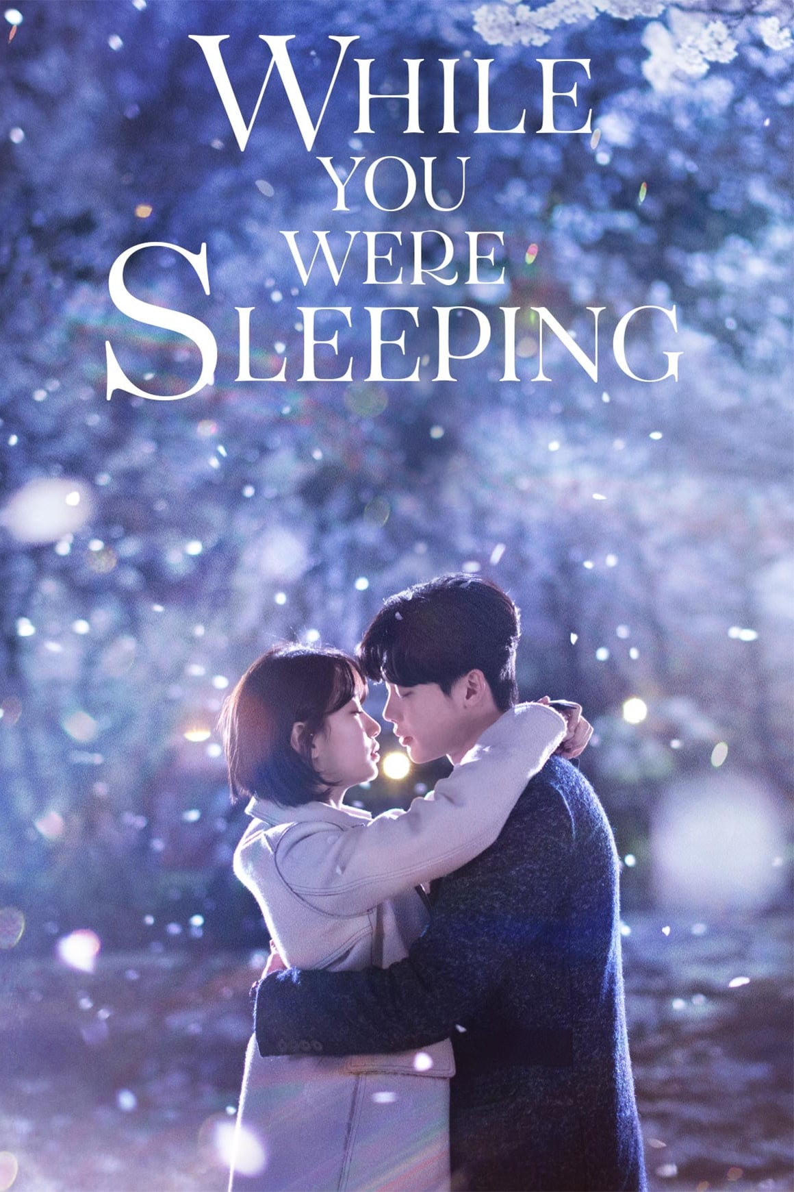 دانلود صوت دوبله سریال While You Were Sleeping