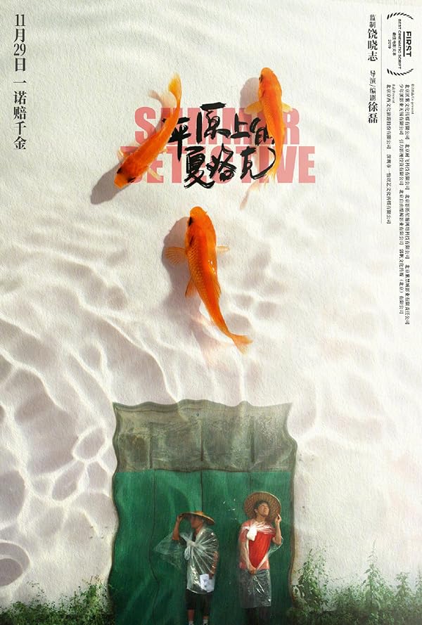 دانلود صوت دوبله فیلم Summer Detective 2019