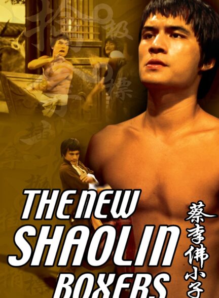 دانلود صوت دوبله فیلم The New Shaolin Boxers