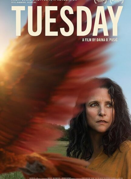 دانلود صوت دوبله فیلم Tuesday