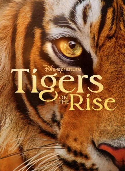 دانلود صوت دوبله فیلم Tigers on the Rise