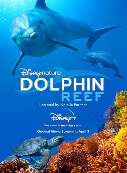 دانلود صوت دوبله فیلم Dolphin Reef