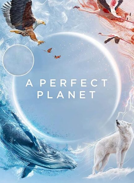 دانلود صوت دوبله سریال A Perfect Planet