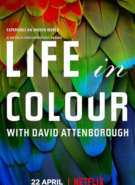دانلود صوت دوبله سریال Life in Colour