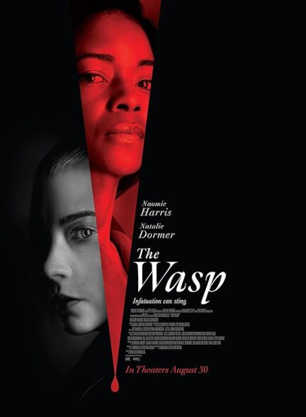دانلود صوت دوبله فیلم The Wasp