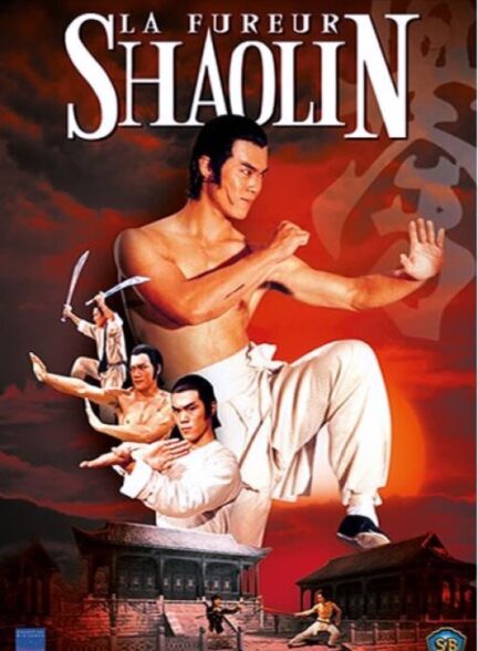 دانلود صوت دوبله فیلم Invincible Shaolin