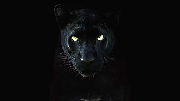 دانلود صوت دوبله فیلم The Real Black Panther