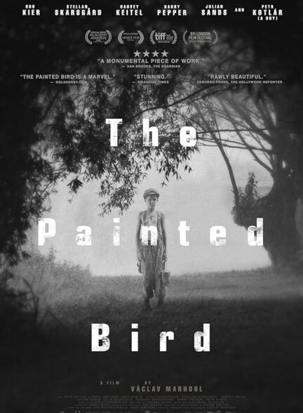 دانلود صوت دوبله فیلم The Painted Bird 2019