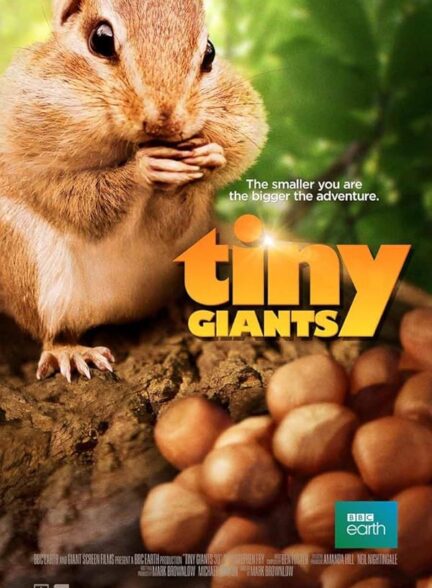 دانلود صوت دوبله فیلم Tiny Giants 3D
