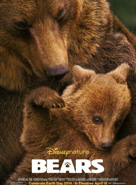 دانلود صوت دوبله مستند Bears 2014