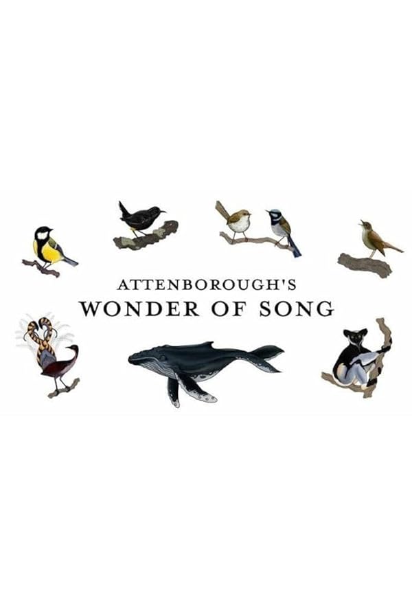 دانلود صوت دوبله فیلم Attenborough’s Wonder of Song