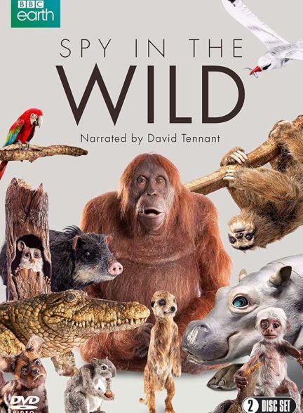 دانلود صوت دوبله سریال Spy in the Wild