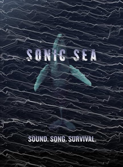 دانلود صوت دوبله فیلم Sonic Sea