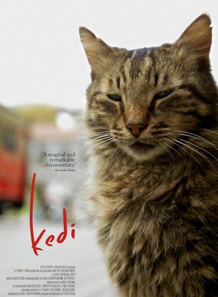 دانلود صوت دوبله فیلم Kedi
