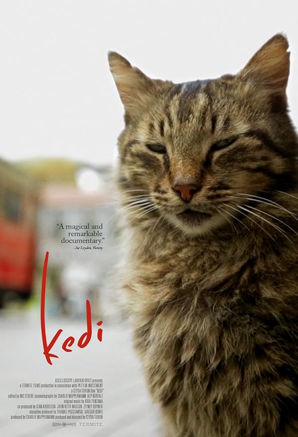 دانلود صوت دوبله فیلم Kedi