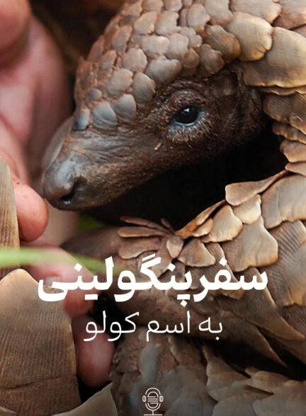 دانلود صوت دوبله فیلم Pangolin: Kulu’s Journey