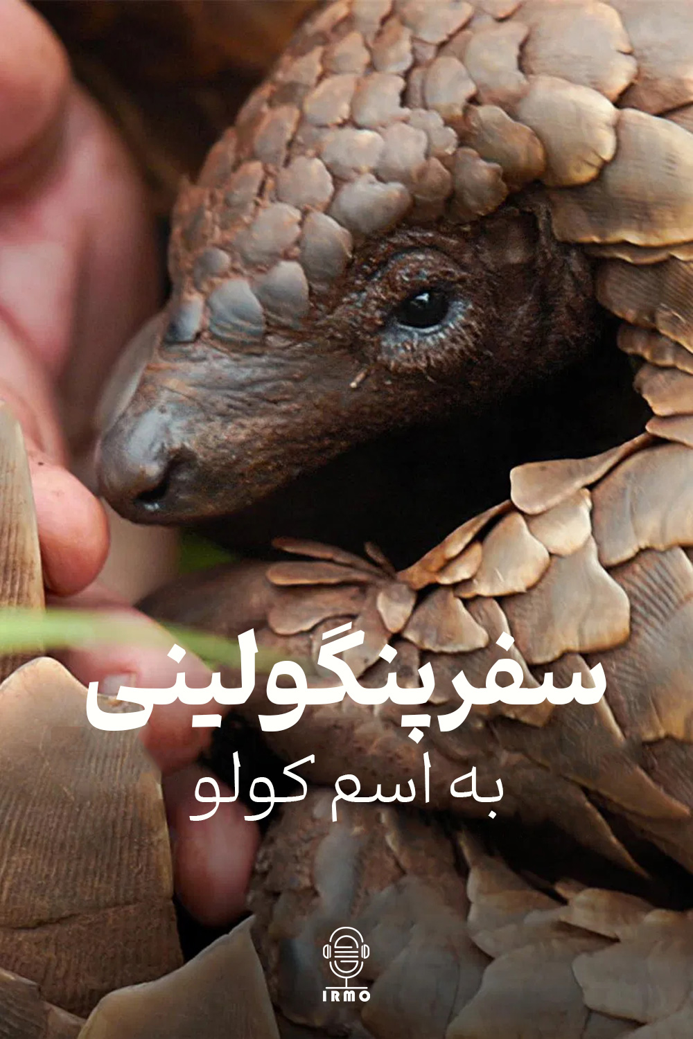 دانلود صوت دوبله فیلم Pangolin: Kulu’s Journey