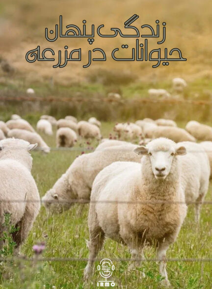 دانلود صوت دوبله سریال Secret Life of Farm Animals
