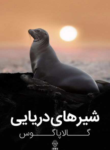 دانلود صوت دوبله فیلم Sea Lions of the Galapagos