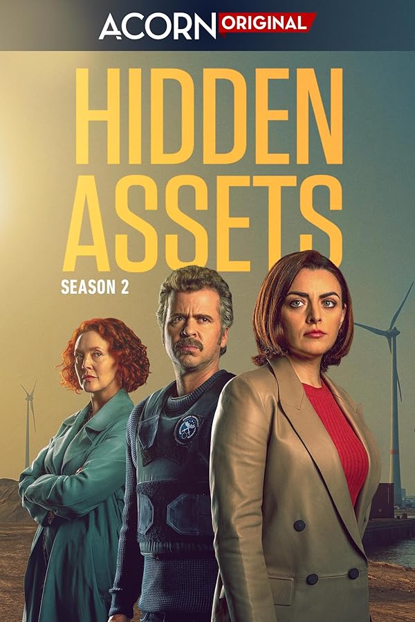 دانلود صوت دوبله سریال Hidden Assets