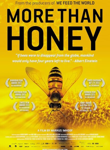 دانلود صوت دوبله فیلم More Than Honey