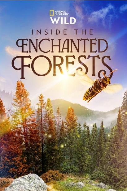 دانلود صوت دوبله سریال Inside the Enchanted Forests